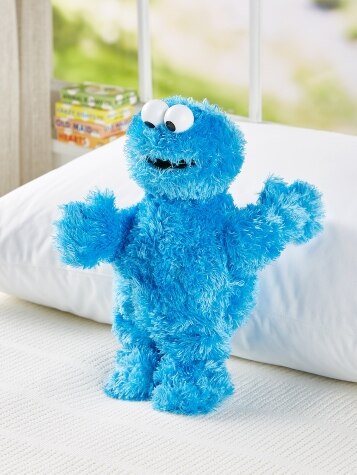 Classic Sesame Street Cookie Monster Plush Toy