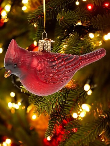 Red Cardinal Ornament | Blown Glass Christmas Ornament